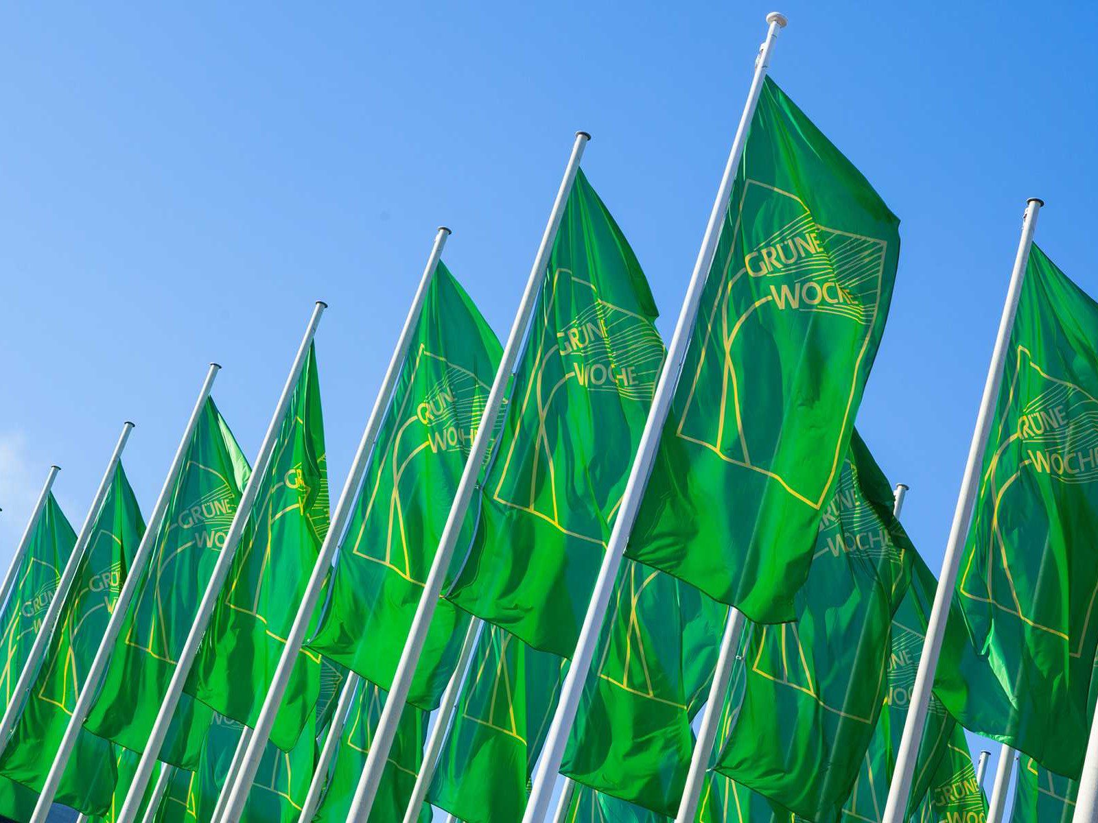 Internationale Grüne Woche Flaggen