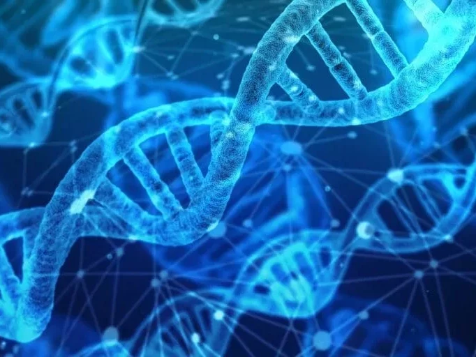 DNA