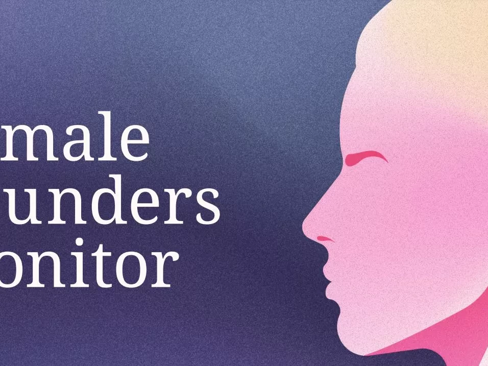 Titelbild des Female Founders Monitor mit Schriftzug und stilisiertem Frauenprofil.