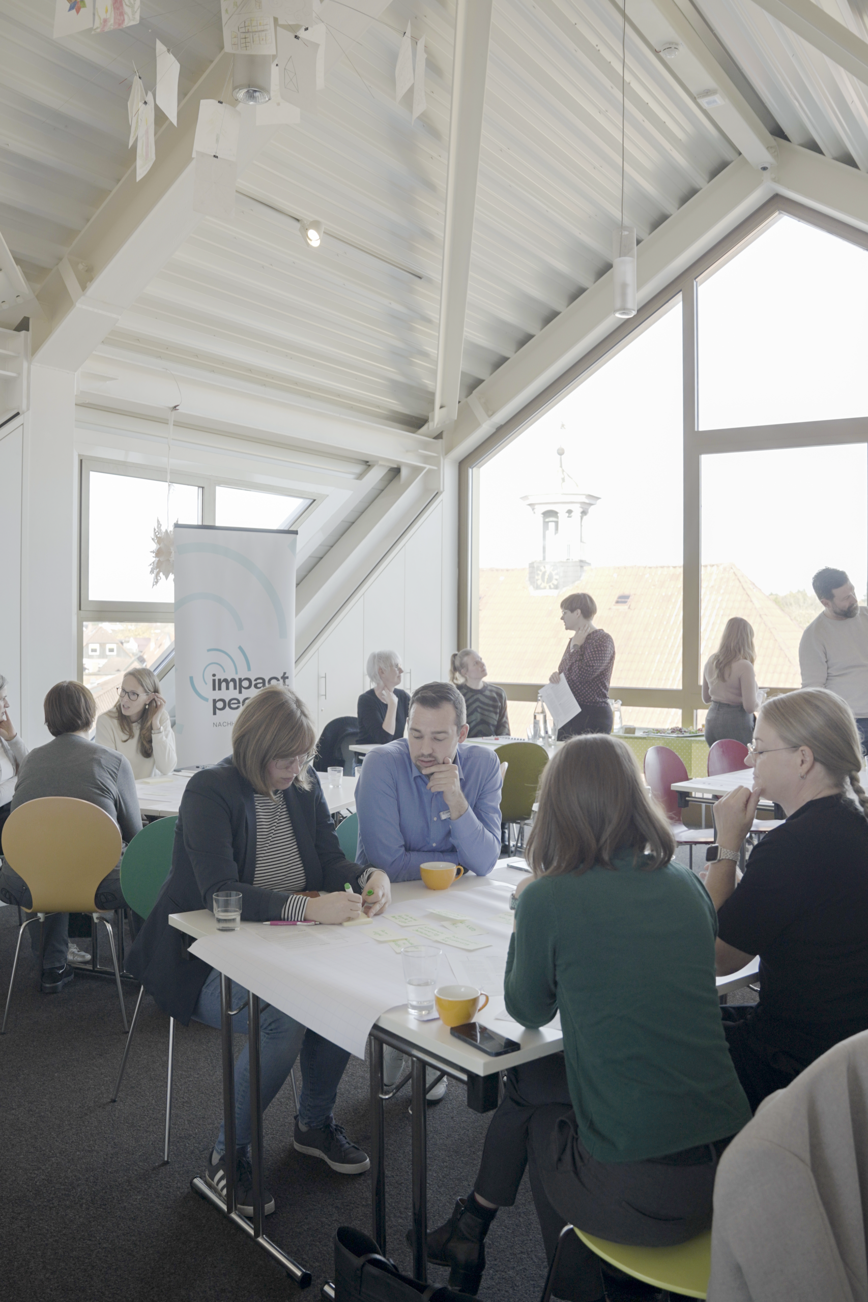 Bild Impact Peers