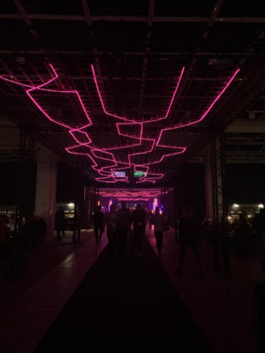 SLUSH_7